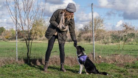 Frau belohnt Hund auf dem Trainingsplatz