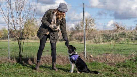 Frau gibt Hund Belohnung auf dem Trainingsplatz