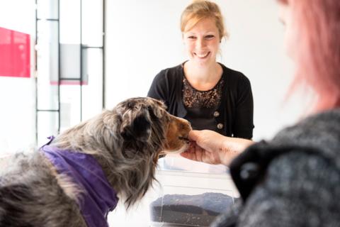 Therapiebegleithund Toni und Ergotherapeutin Franziska Henkel mit einer Klientin