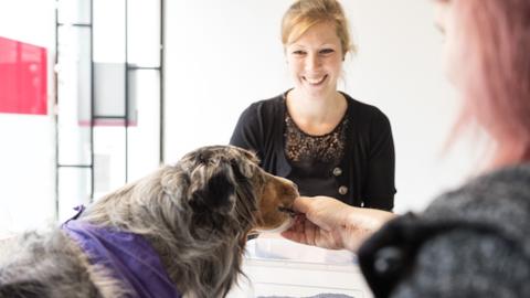 Therapiebegleithund Toni und Franziska Henkel in der Praxis