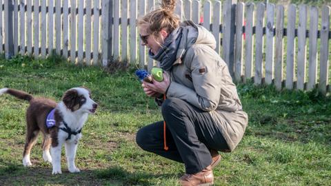 Franziska Henkel spricht mit Therapiehund Toni